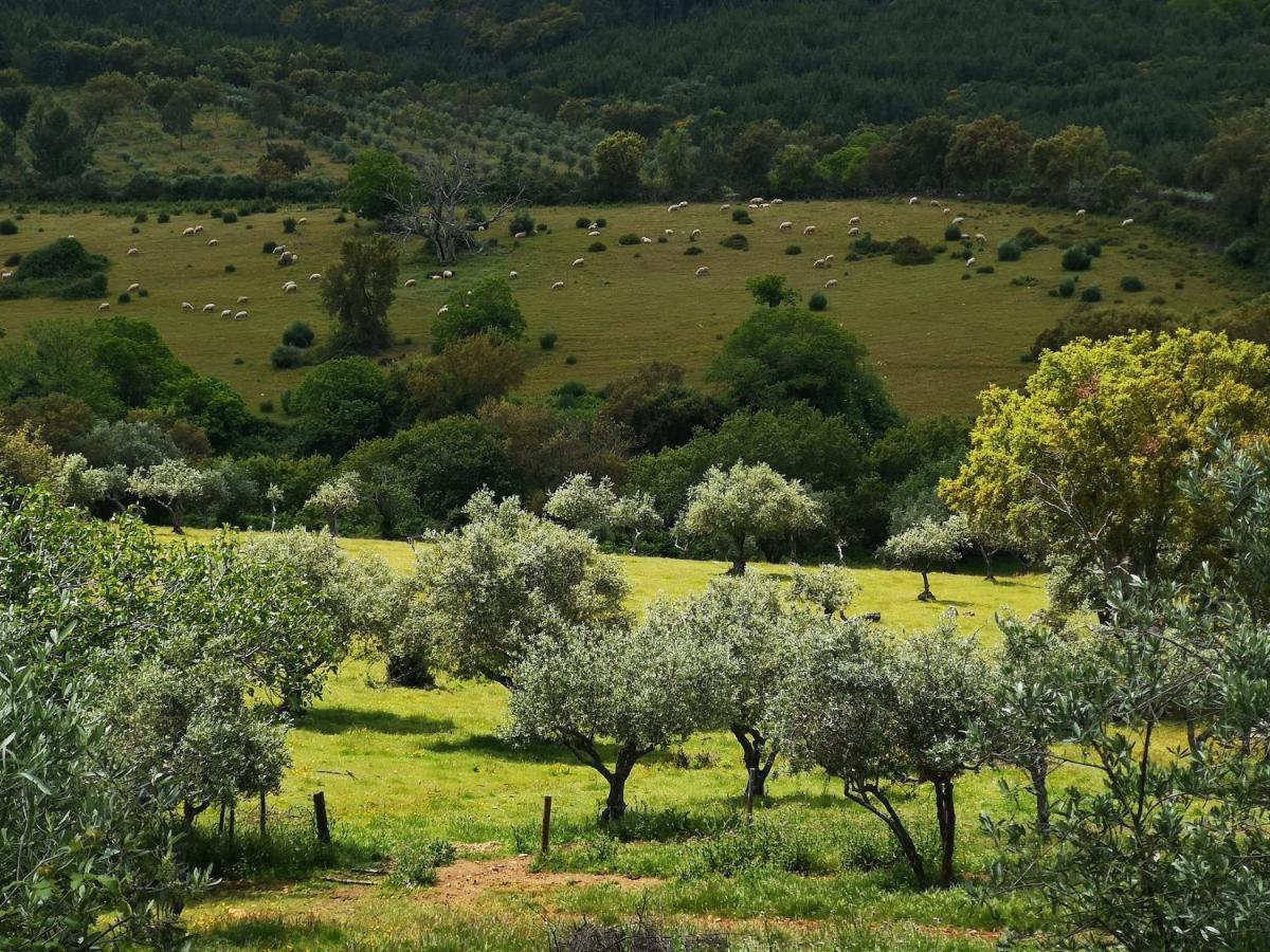 Вилла Monte Das Cascatas Марван Экстерьер фото