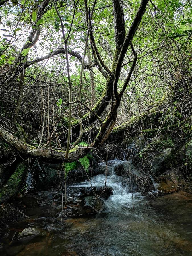 Вилла Monte Das Cascatas Марван Экстерьер фото